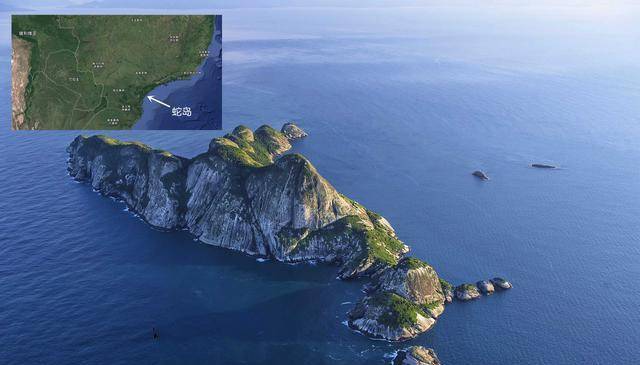 真正的蛇岛：面积43万平米，却有50万条蛇，价值相当不菲