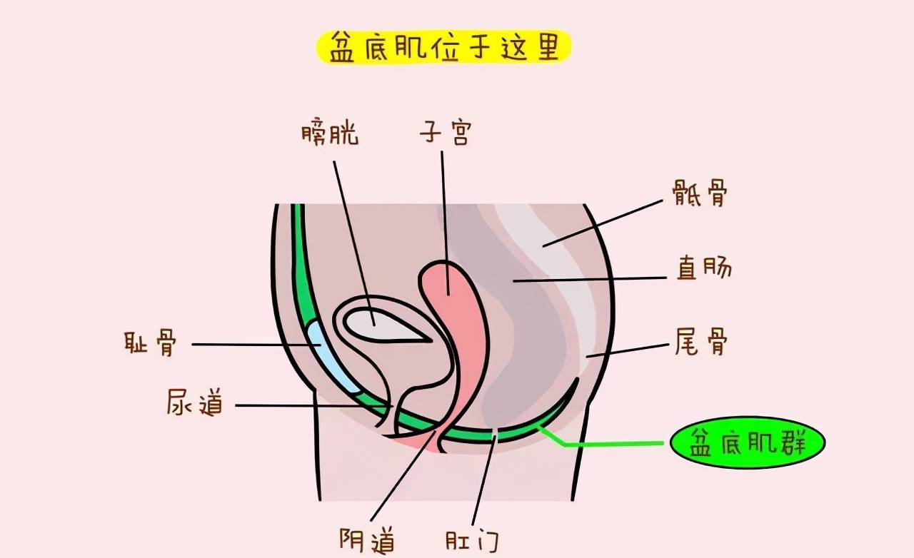 瑜伽练核心