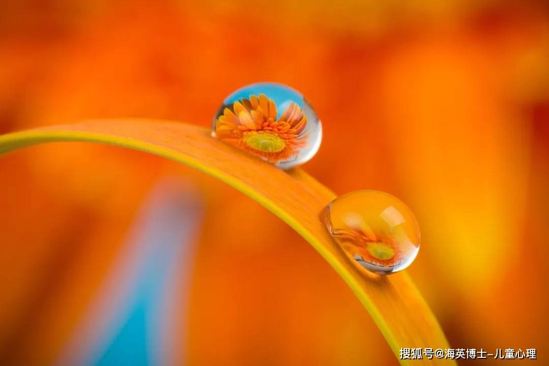 小时候|如何帮助多动儿建立积极情绪和自信心？