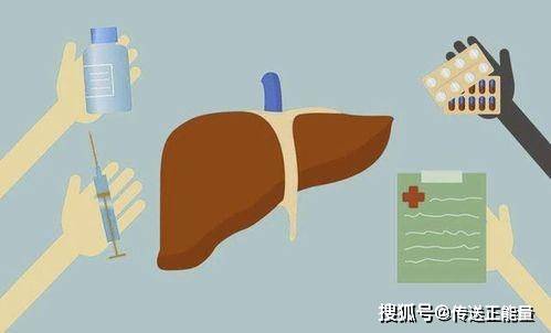 血液|肝内有癌，皮肤知晓！皮肤有这四“异常”，建议及时治疗