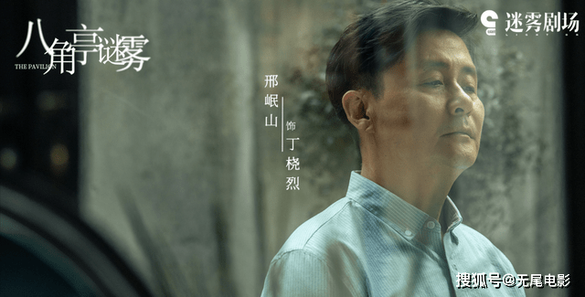硬核分析，看完六集《八角亭谜雾》，我知道凶手是谁了