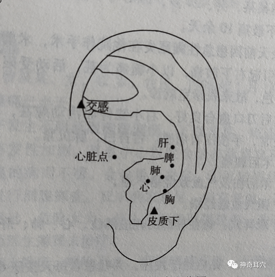 益康耳穴:胸闷气短是因为什么?该如何缓解和治疗?