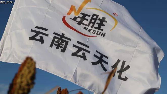 云天化二铵图片 5866d91b62204c3290bbb514c9079d5e.jpeg