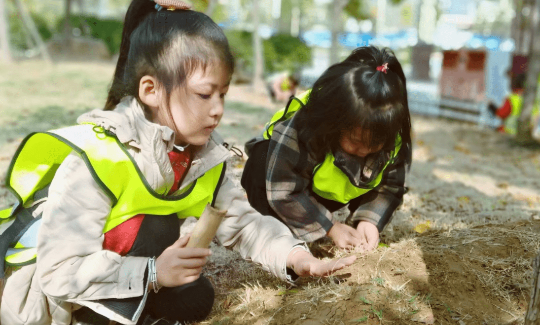 午餐|幼儿园老师晒学生午餐，家长眼尖发现“猫腻”，班级群“炸锅了”