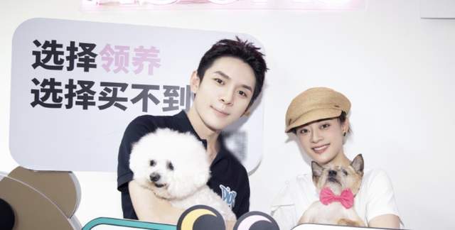 救助孙俪带儿女路边摆摊义卖，救助流浪动物获点赞，但商品定价惹争议