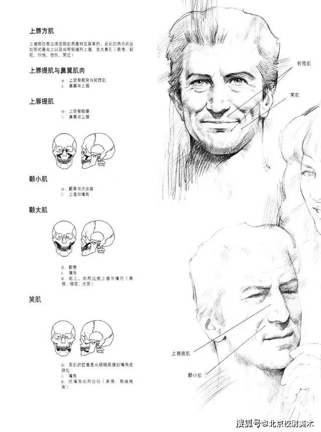 头像校尉美术：素描头像的画法需要注意哪些问题呢？