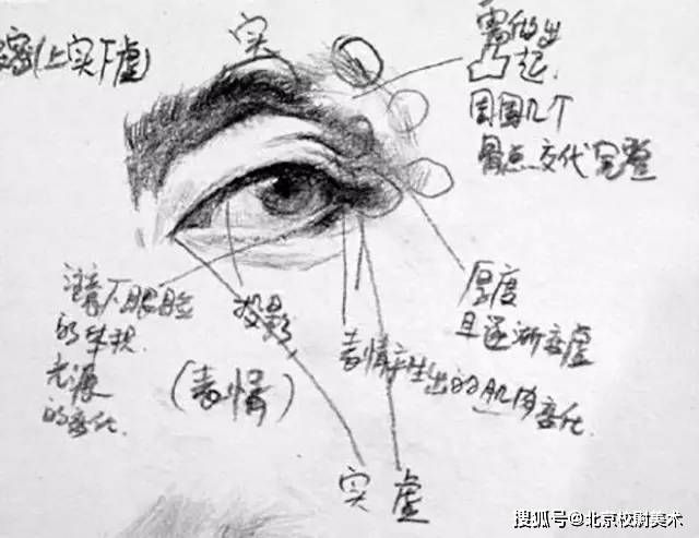 素描校尉美术：素描五官详解，看完这篇搞定素描头像！