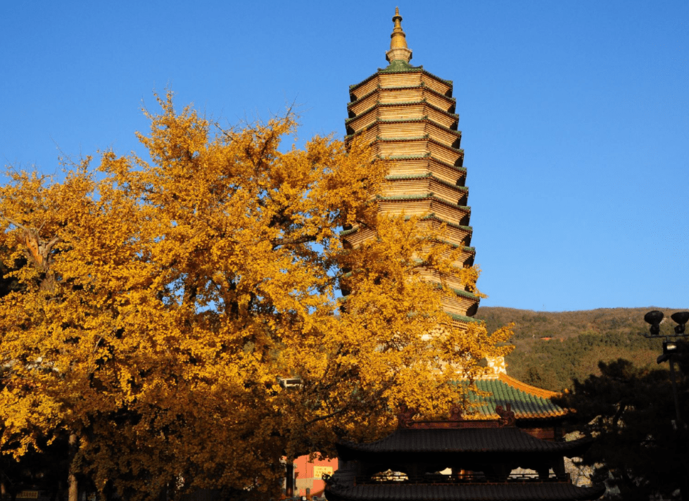 北京有座“隐藏在”大山之中的公园，内有8座寺庙，还有2颗舍利