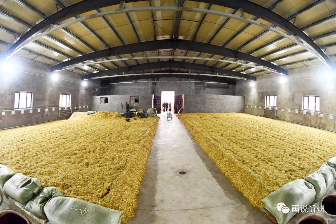 五台山酿酒厂举办庆祝建厂18周年九九重阳庆典活动