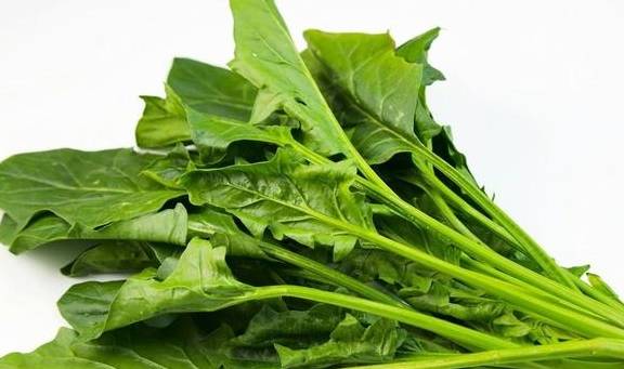 食品|“惹上”肾结石，多半是这3件事做多了，且男性占比要高于女性