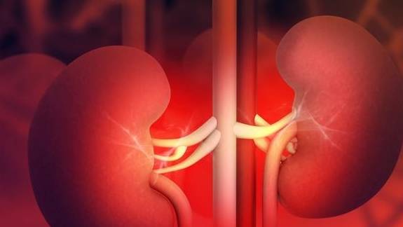 肾脏|3个坏习惯不利于保护肾功能,肾友要改,做好2点能护肾
