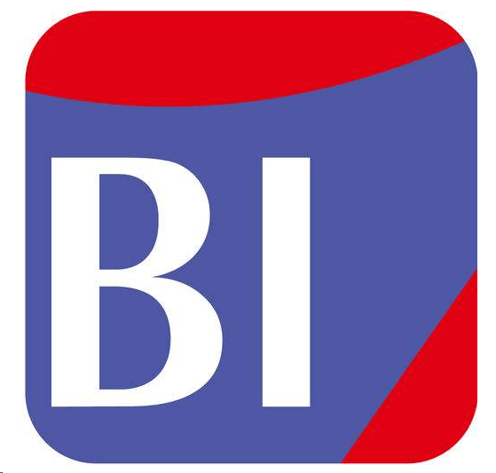 bi系统的数据可视化方法:分体式bi 试衣模式