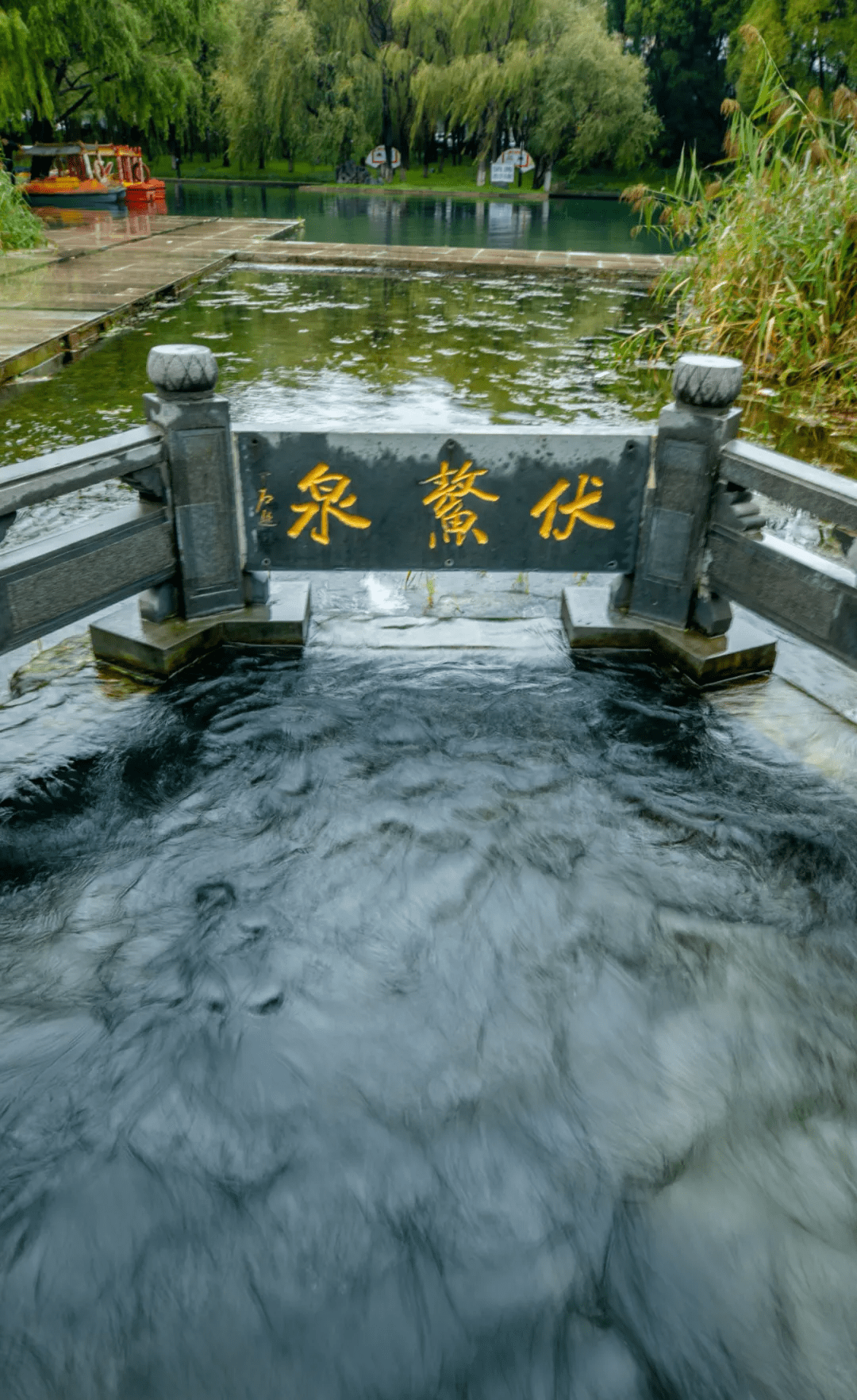 济南|地下水位升升升！济南这些人少景美的小众泉水，去过一次就被“泉”粉了！