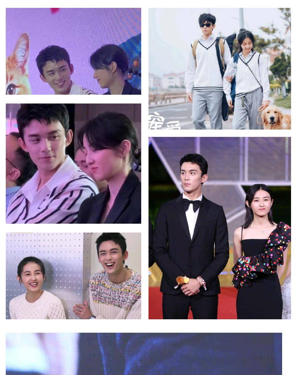 原创张新成张子枫的新剧天才基本法杀青啦cp感太强粉丝期待中