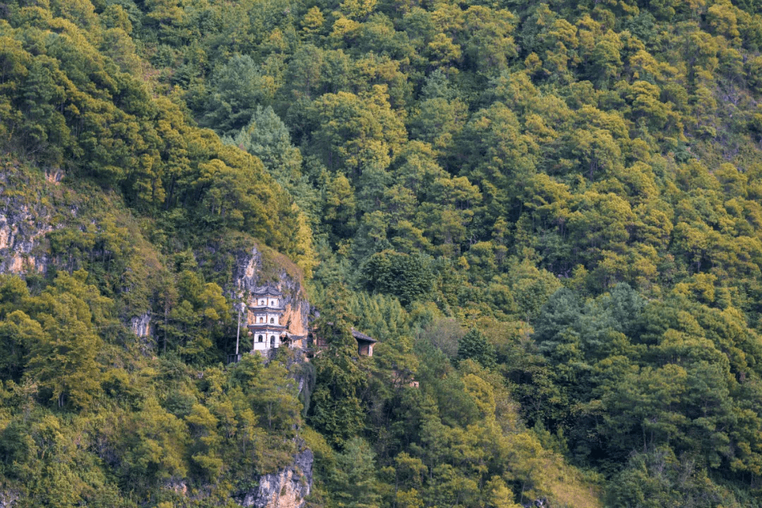 历史|【国家AAA级景区】腾冲江东银杏村景区