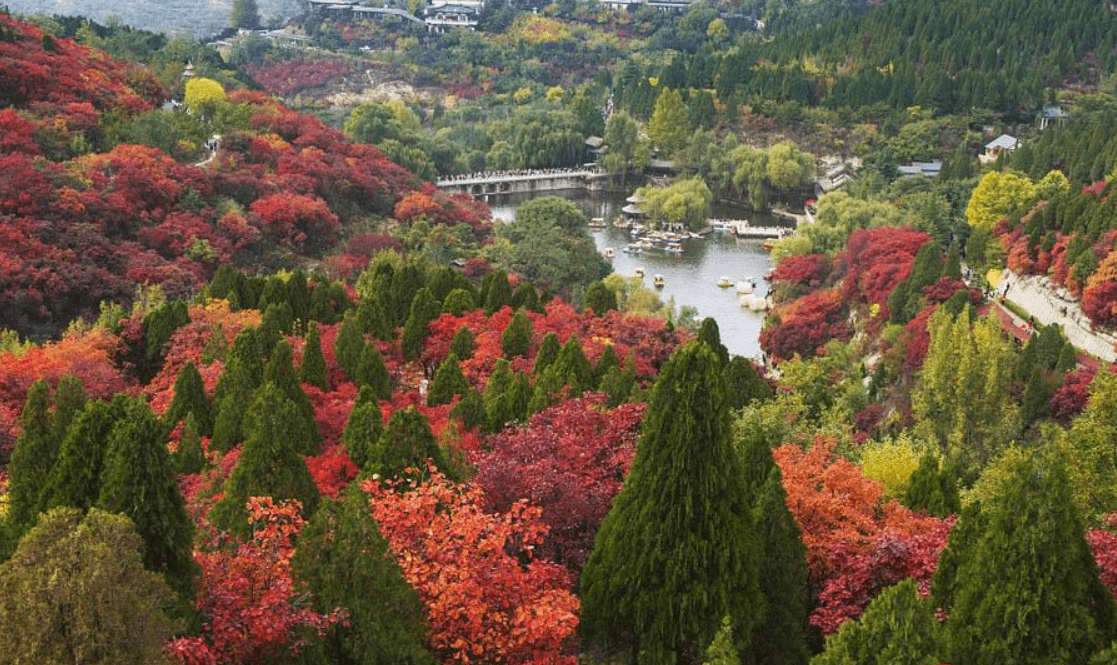 北京香山红叶将迎最佳观赏期