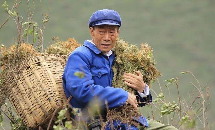 父亲|给这角色打“问号”李雪健脸红了