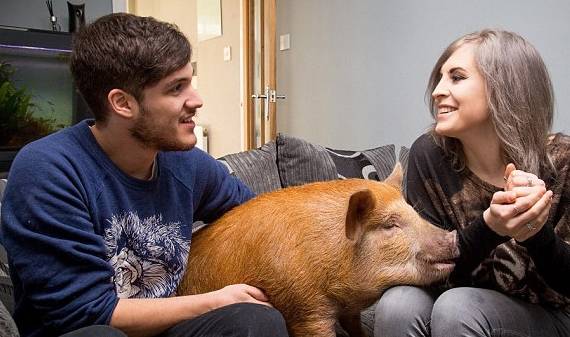 睡眠|无论男女，在床上都不要做这四件“短命事”，现在改正还不算太晚