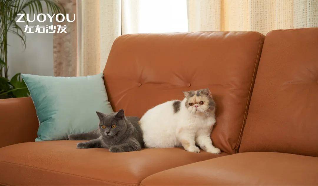 干货黑科技还是智商税超火的科技布了解下