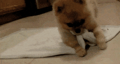 毒性|当心！路边常见的这东西有毒，千万别随意&amp;quot;碰&amp;quot;！严重可致命