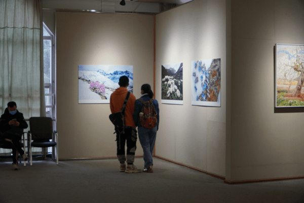 我们人与自然cop15大会云南生物多样性主题展线上程序投票助力等您