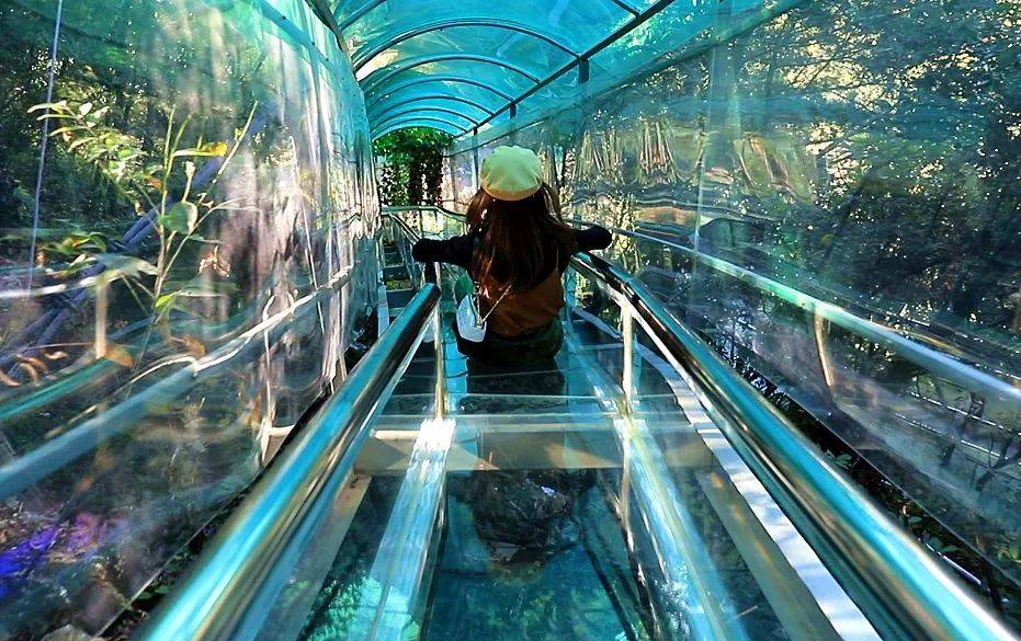 还等着什么去昆明西游洞看拥有亿万年历史的溶洞景观玩最刺激的悬崖