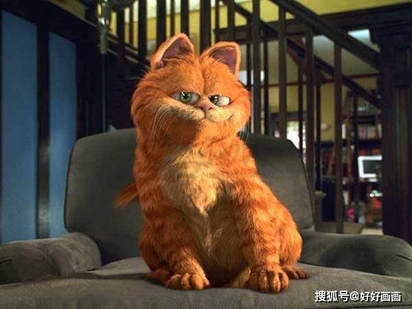 眼睛加菲猫怎么绘画？