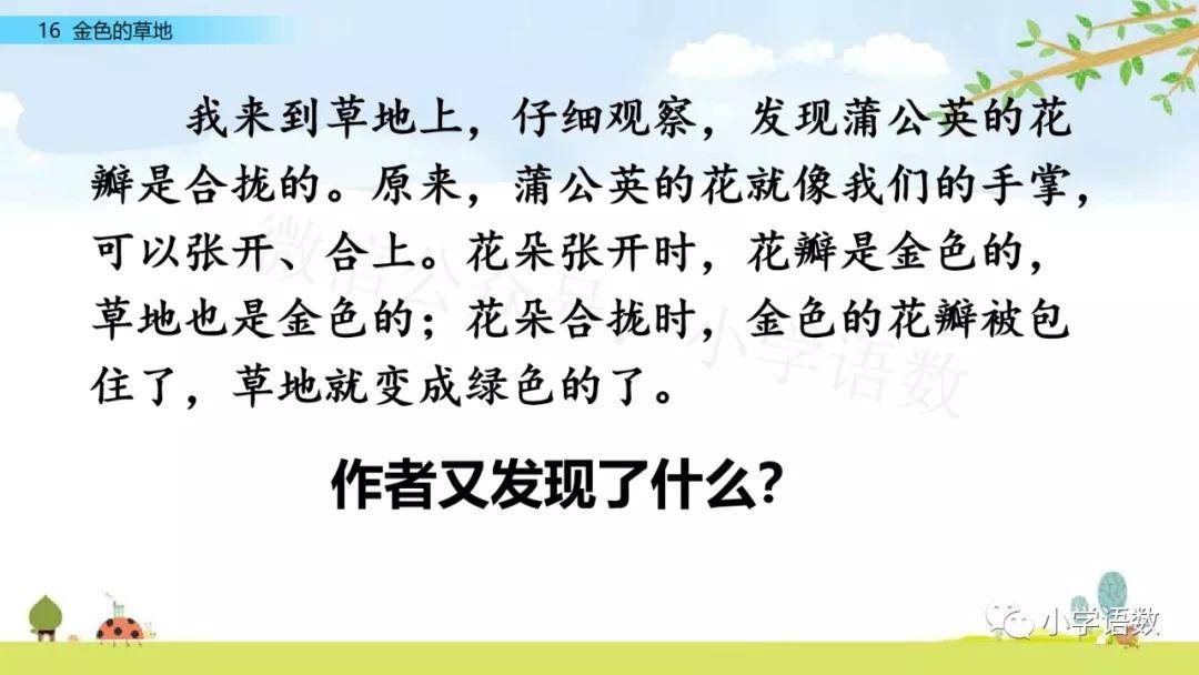 【预习】部编版三年级上册第16课《金色的草地》图文讲解