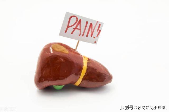 症状|肝纤维化可逆？它不是病，只是症状而已！及早治疗是关键
