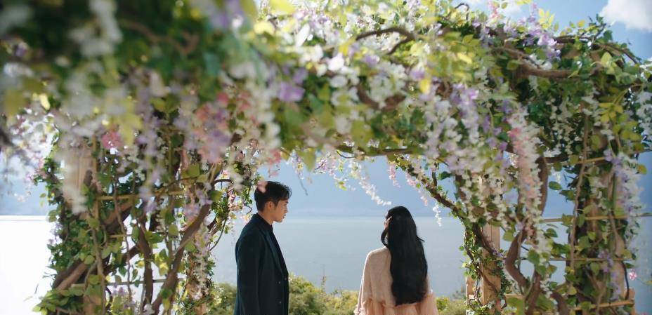 丘山|司藤：白英的计划已经逐渐明了，司藤正在朝着白英预料的方向发展