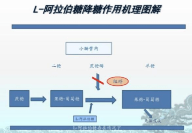 食品|吃糖也能健康吃？专利零食梅精豆破局的秘密