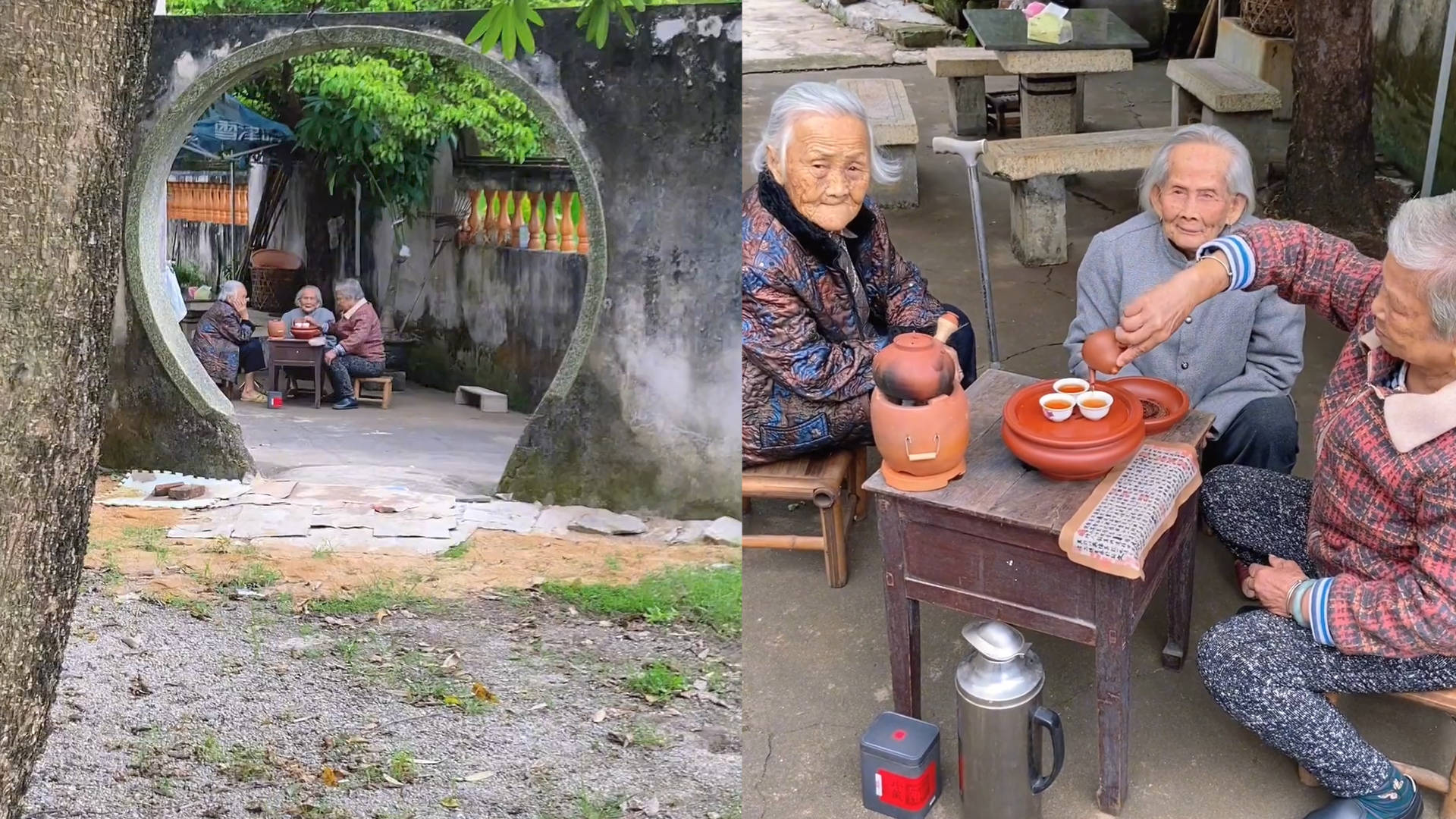三位老奶奶树下喝茶聊天看遍世间清茶淡饭恬静的生活令人羡慕