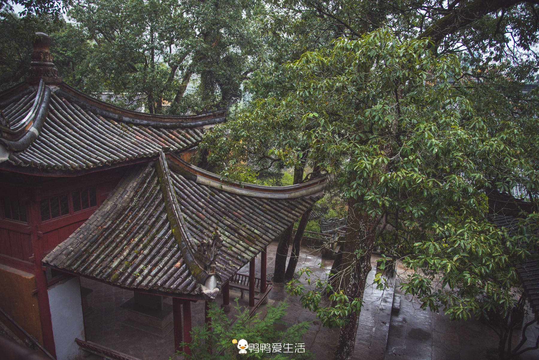 景美|台州1400年名寺为天台宗发源地，景美清幽不收门票，真佛性！