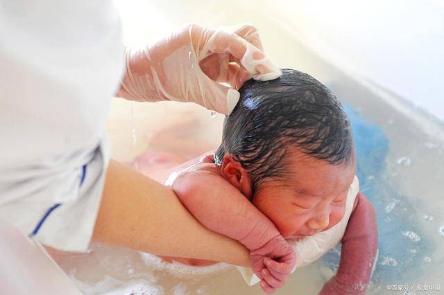 智商|二胎比头胎更聪明？也就是看起来而已，头胎的智商高有事实依据