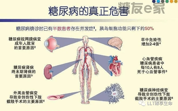 身体|糖尿病治疗前景可期：LLT NMN可增强胰岛素敏感