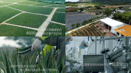 品牌双十一护肤大战已打响 瑷露德玛将如何突破重围