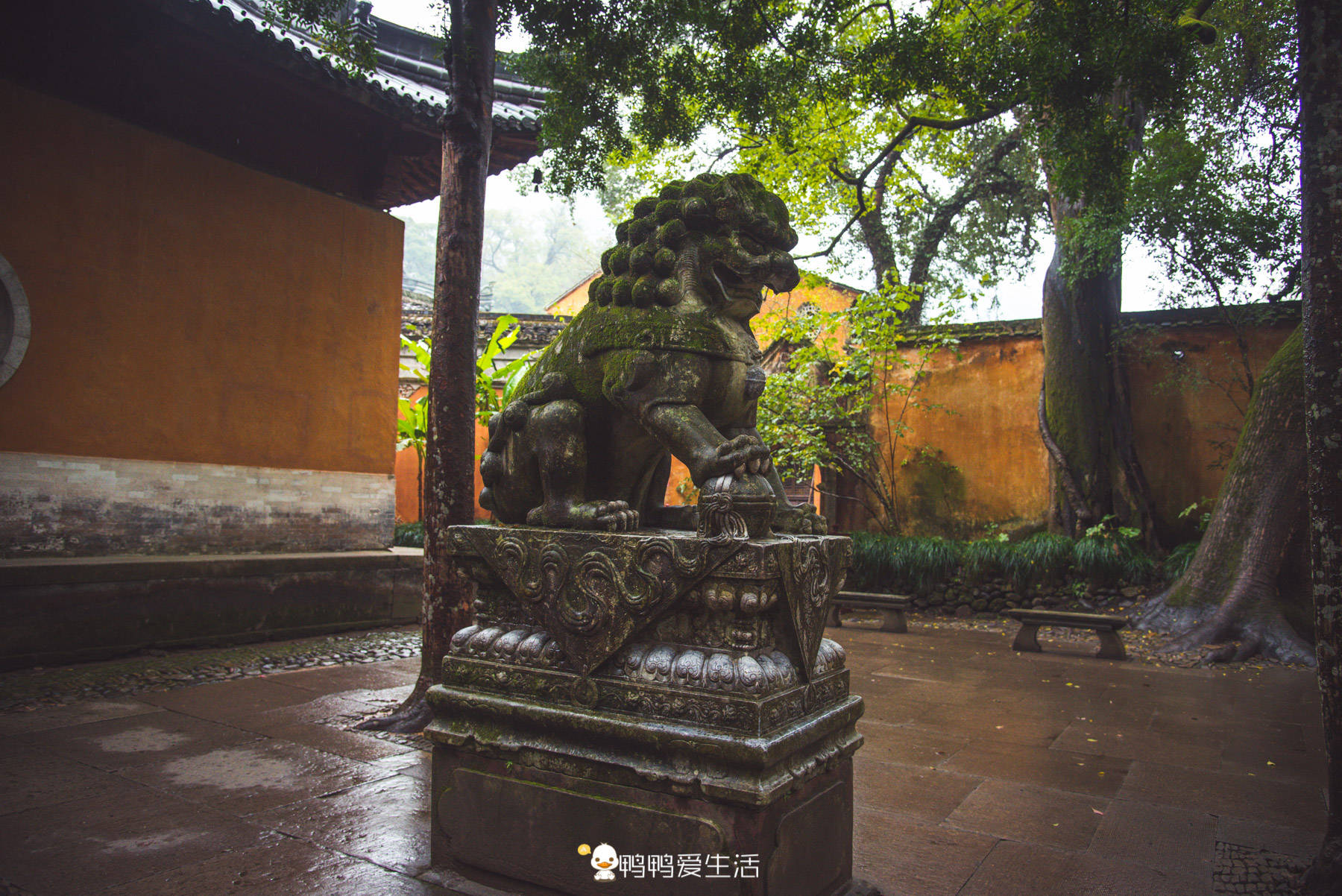 景美|台州1400年名寺为天台宗发源地，景美清幽不收门票，真佛性！