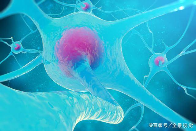 智商|二胎比头胎更聪明？也就是看起来而已，头胎的智商高有事实依据