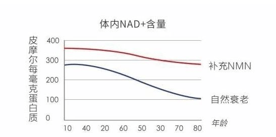 进行|抗衰老充电站LLT NMN 安全性大揭秘