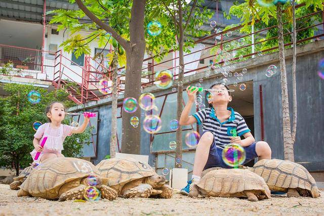 智商|二胎比头胎更聪明？也就是看起来而已，头胎的智商高有事实依据