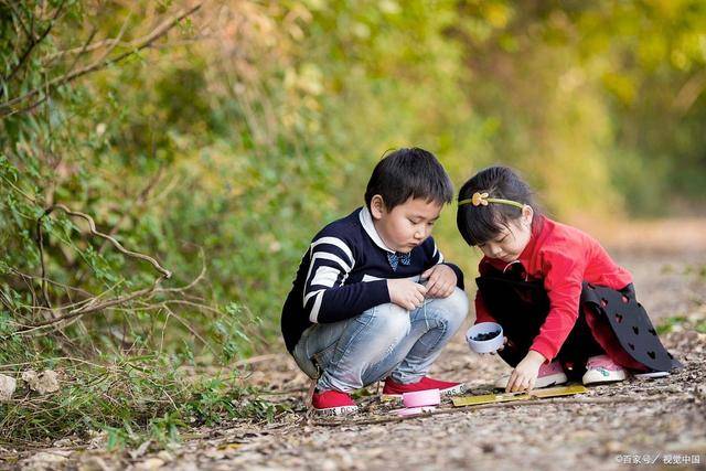 智商|二胎比头胎更聪明？也就是看起来而已，头胎的智商高有事实依据