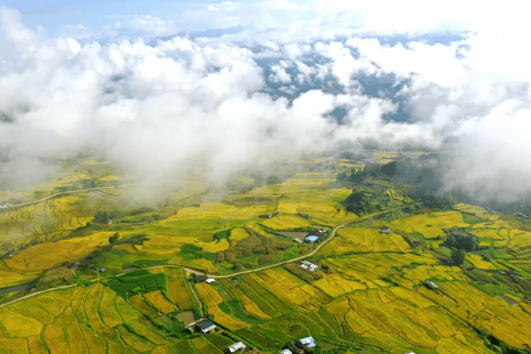 水面|美文分享丨腾冲龙川江峡谷：梯田如画稻谷香