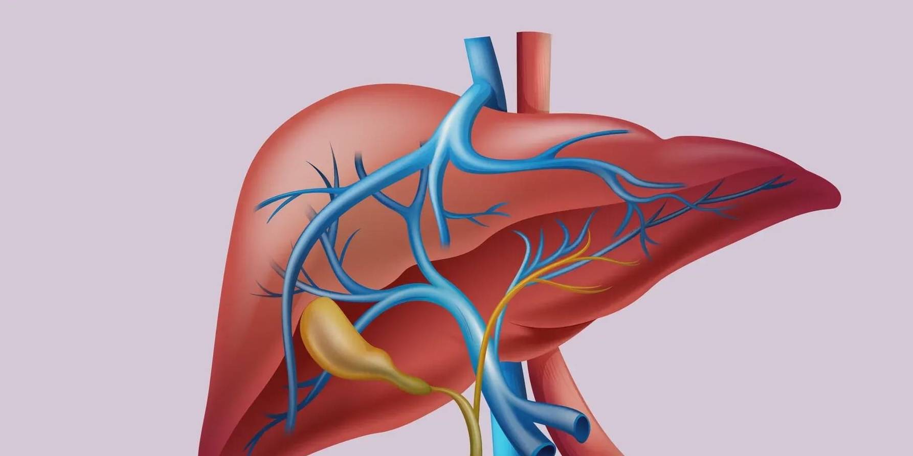 肝脏|从肝病的角度看，右上腹疼痛一般是什么原因？应该如何应对？