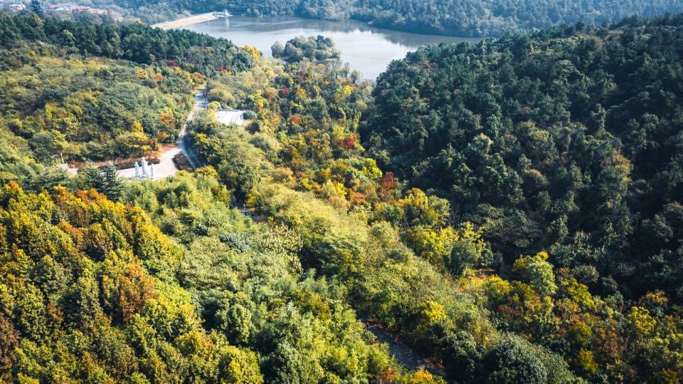 历史|合肥最亲民的历史文化名山，不仅是城中景观，还是登山健体胜地