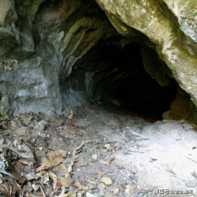 登山家在科尔文找到古代“变压器”，专家看到图片后，说道：假货