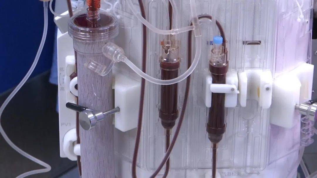 草乌|腹泻、胸闷、浑身无力...煮食附子中毒入院，医生建议：食用这些药材需谨慎！