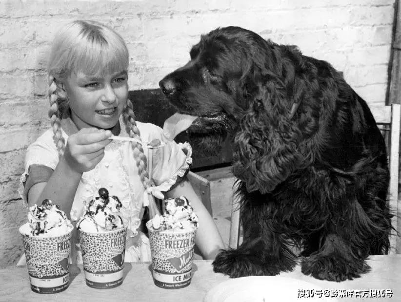 什么|小月影评 | "萝莉杀人"《坏种》带你看看什么是天生完美的罪犯