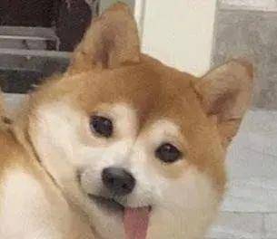 杜海涛|秦霄贤IXFORM-唐九洲杜海涛大摆锤玩出参差，上演“塑料”兄弟情！