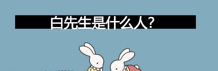 什么|白先生是什么人？