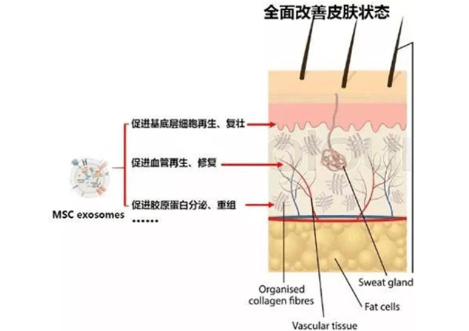 科技入秋脸干？当心老得快！打破传统成分，无限囤货的科技面膜，好用！